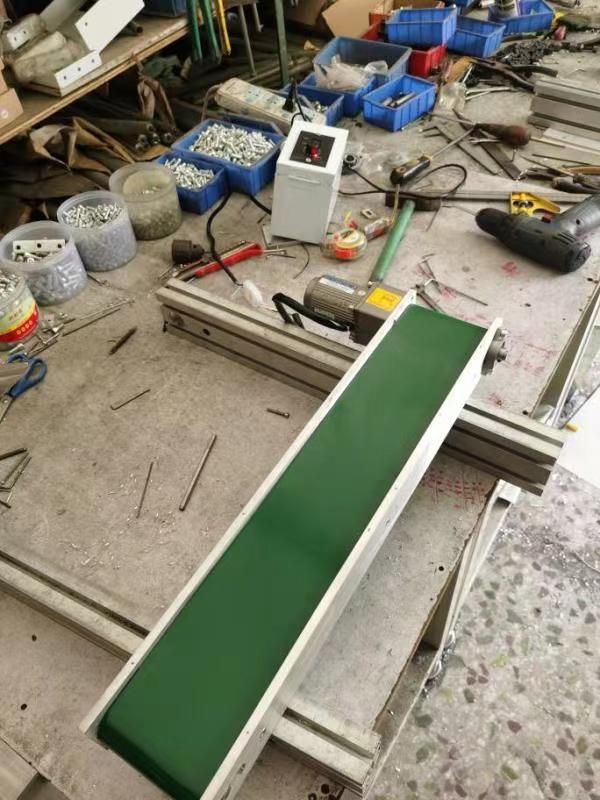 Customized Horizontal Belt Conveyor | Stainless Steel Conveyor for Food & Beverage Industry